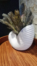 Vaso Cerâmica Concha do Mar – Decoração Costeira